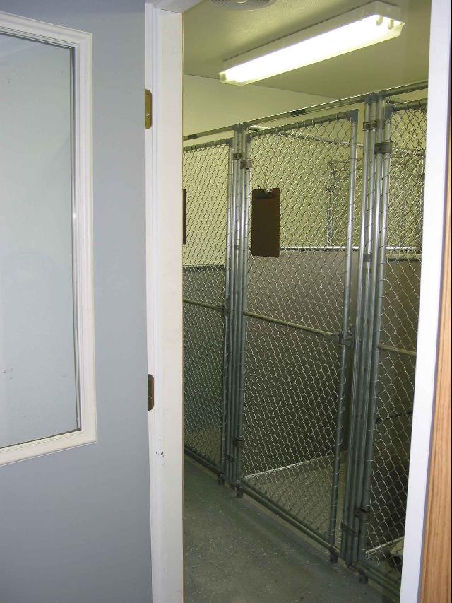 Big dog kennels